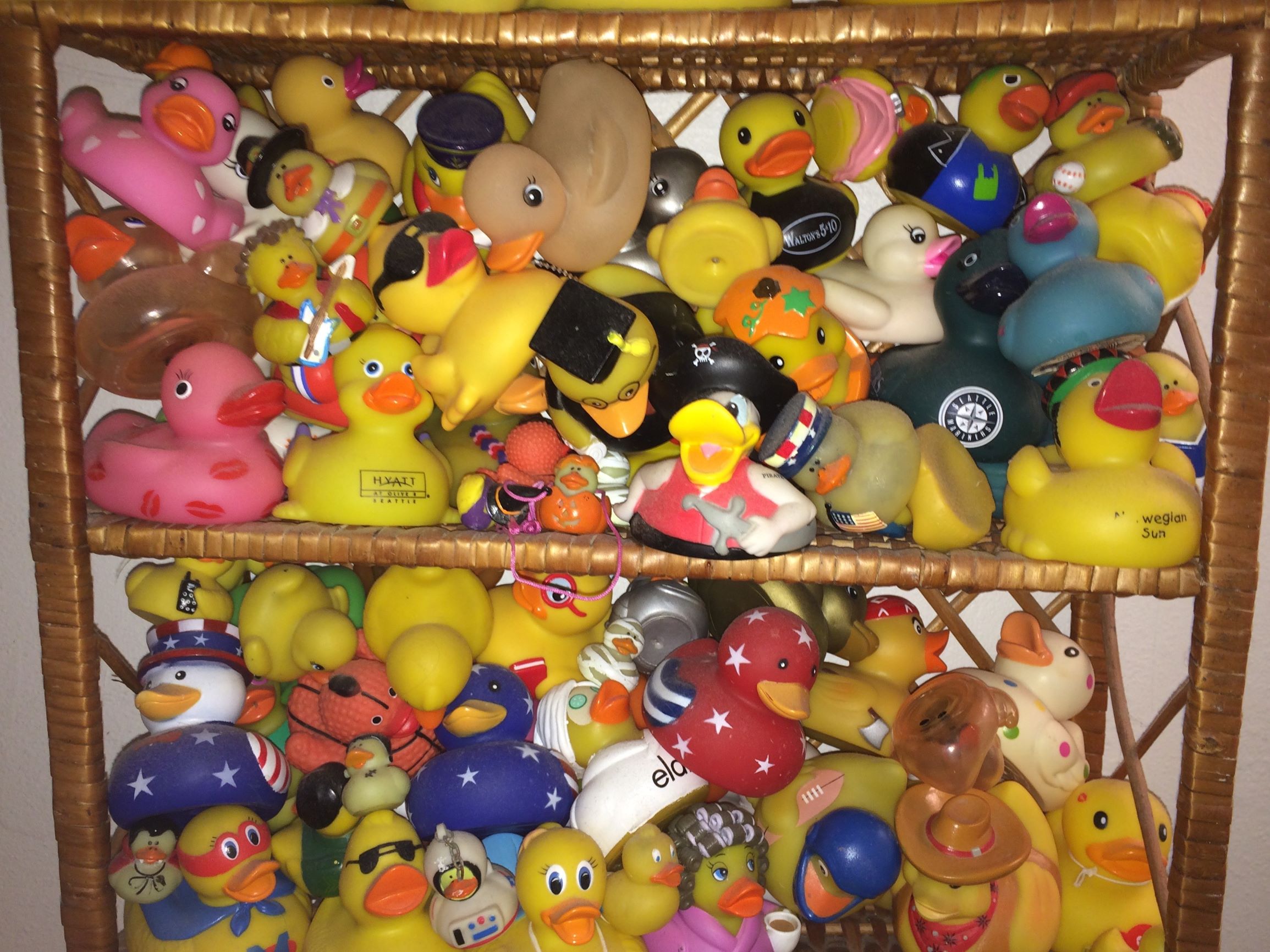 On a Lighter Note National Rubber Ducky Day The Buzz Magazines